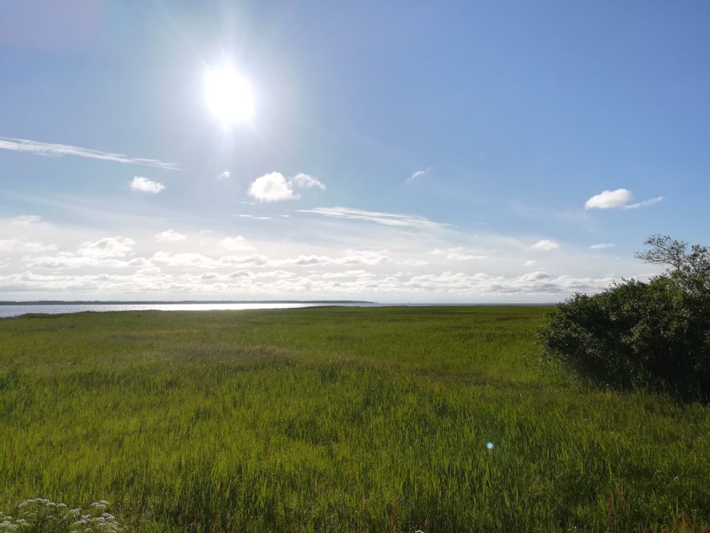 Baltic Sea Circle 2019, Finnland