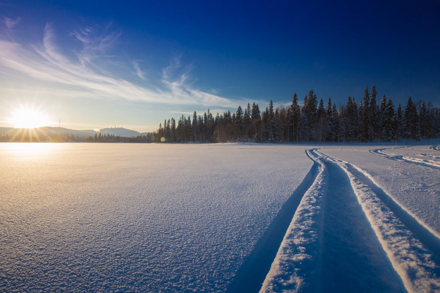 Spuren im Schnee